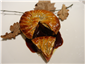 pigeon and duck liver pie
